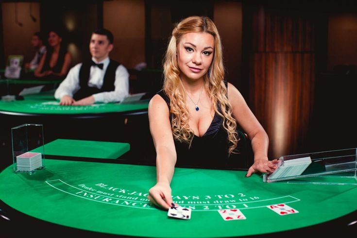 CasinoShrewd Live Casino